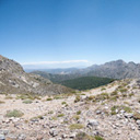 desert shot desert shot